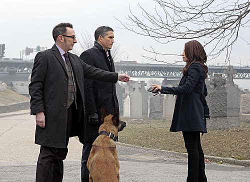 Person of Interest Review: 2.16 – “Relevance”
